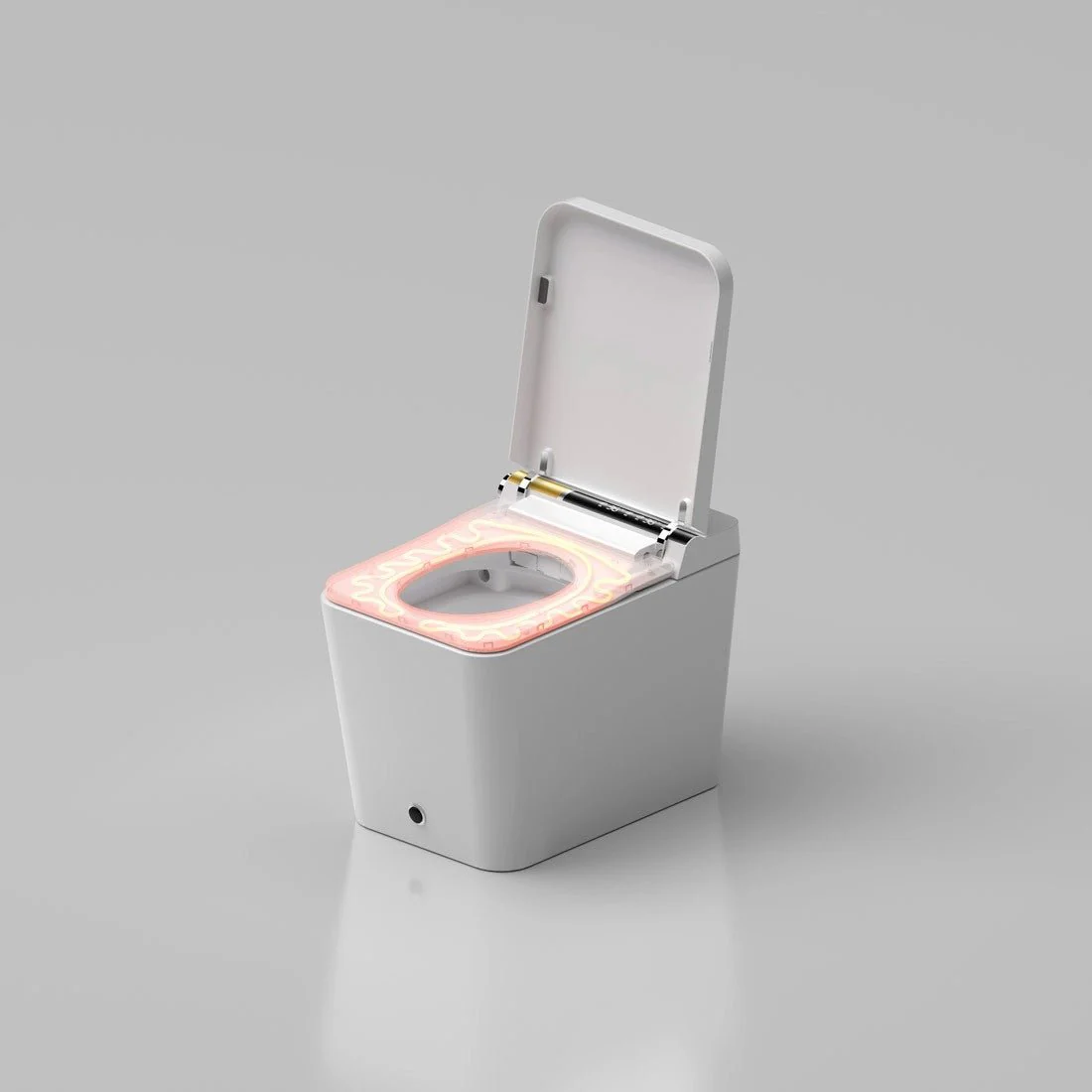 Miniatura 10
